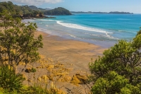 Woollets_Bay;Northland;sandy_beaches;bachs;holiday_homes;bush;native_forrest;gol